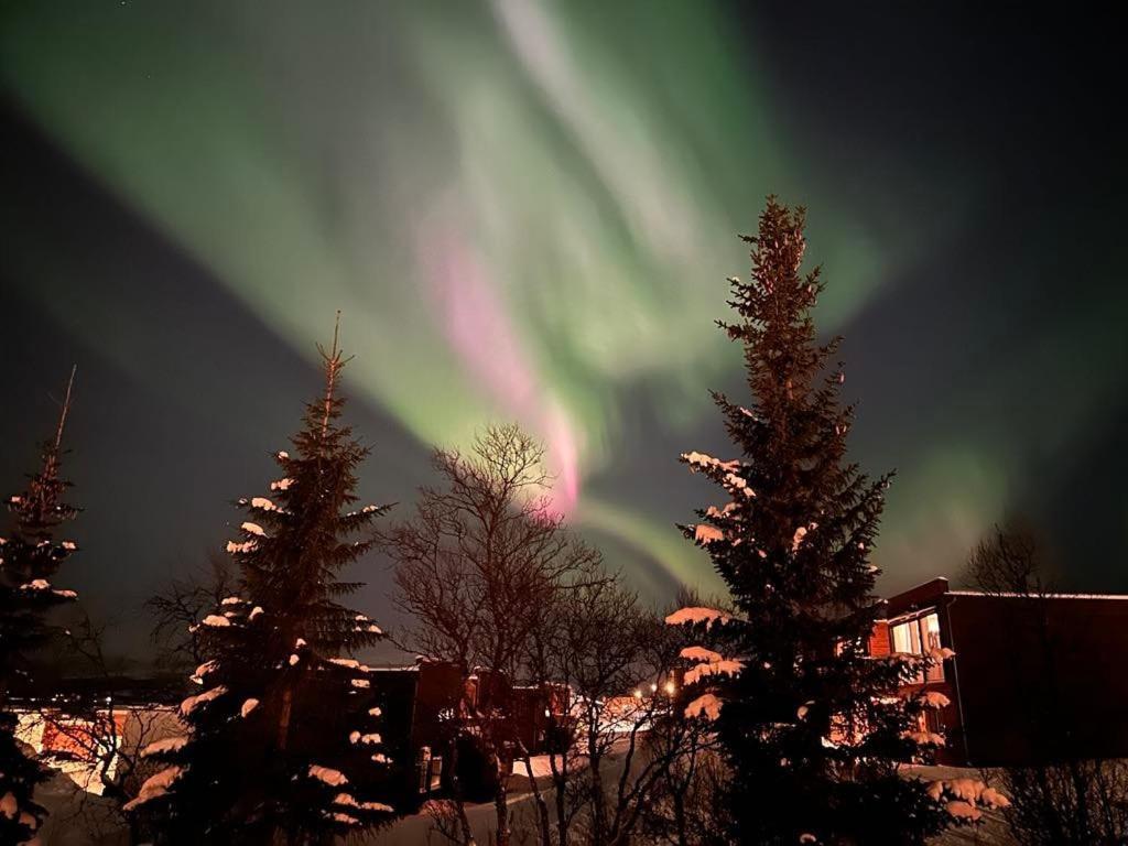 Leilighet New Cozy In Center Of Aurora Spotting Tromsø