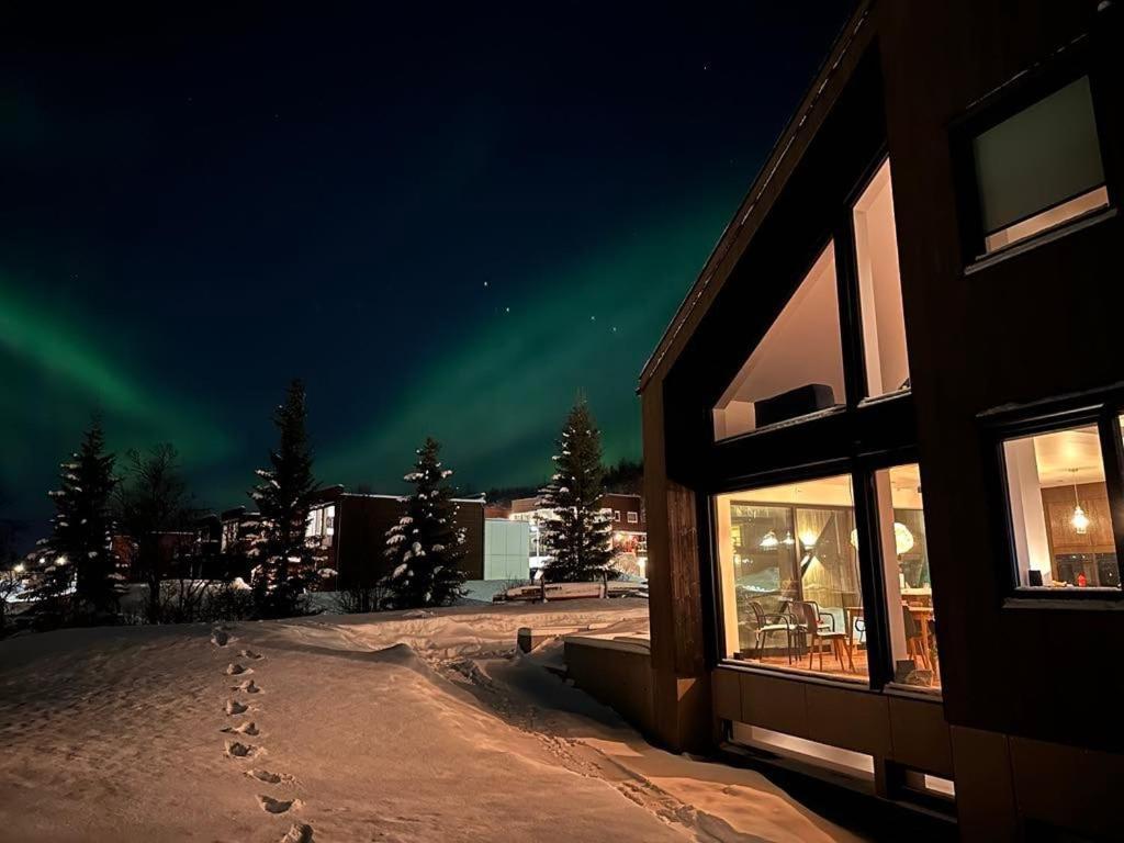 Appartement New Cozy In Center Of Aurora Spotting