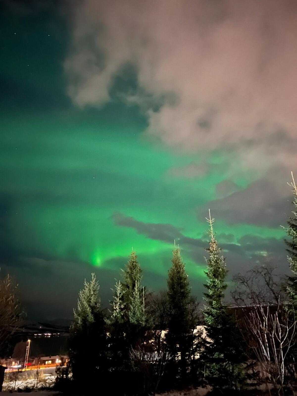 New Cozy In Center Of Aurora Spotting Appartement *