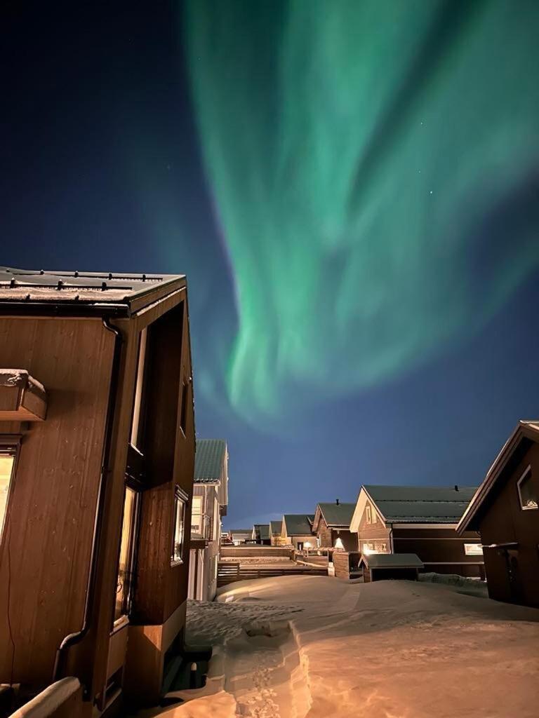 New Cozy In Center Of Aurora Spotting * Tromsø